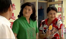 乡村爱情 电视剧,笑谈农家乐，共谱乡村新篇章